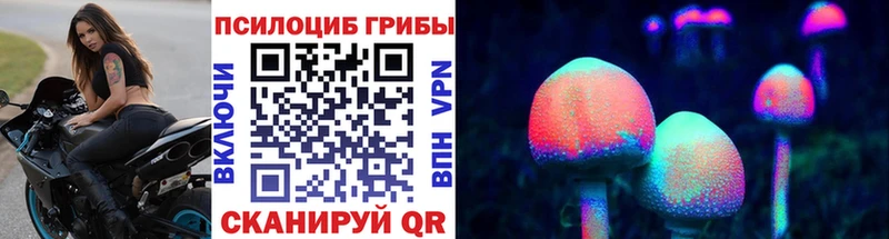 Галлюциногенные грибы мицелий  Купить  Дальнегорск 