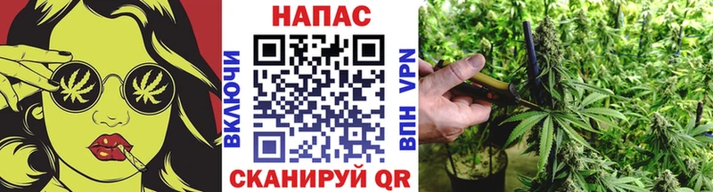 Бошки марихуана ГИДРОПОН  Купить где  Дальнегорск 